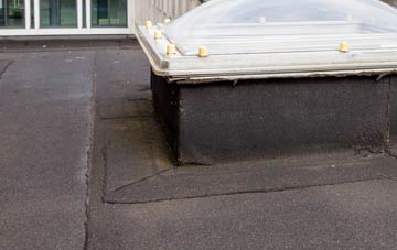 disadvantages of Shadingfield flat roofs