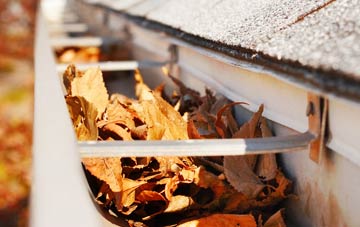 Shadingfield gutter cleaning companies