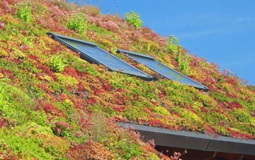 Shadingfield living roof systems
