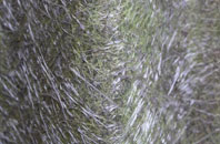 Shadingfield fibreglass roof work
